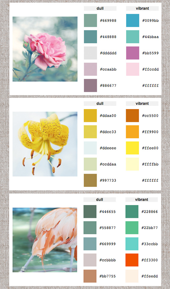 Web Help Color Palette Generator Home Creature Comforts