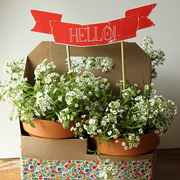 Flower Pot Gift with Printable Banner from Dandee