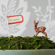 DIY Mossy Display by Cori Kindred