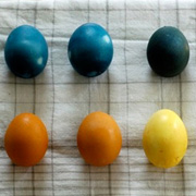 Naturally Dyed Easter Eggs by Stephanie Barnes